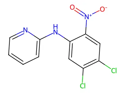 N2-(4,5-dichloro-2-nitrophenyl)pyridin-2-amine structure