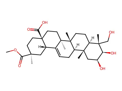J1.757.341A structure