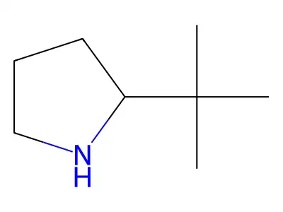 2-Tert-butylpyrrolidine structure