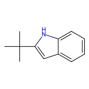 2-tert-Butyl-1H-indole structure