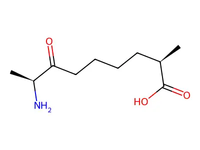 8(S)-氨基-2(R)-甲基-7-氧代壬酸 structure