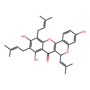 Artelastin structure