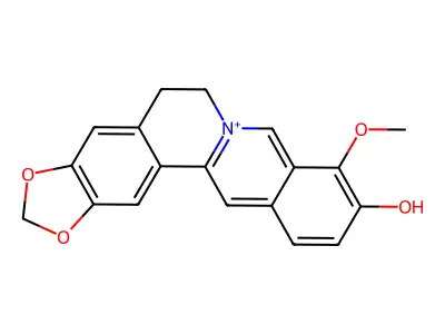 Thalifendine structure