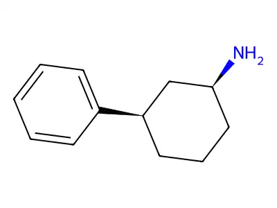 3-Phenylcyclohexan-1-amine structure