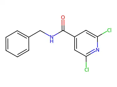N4-Benzyl-2,6-dichloroisonicotinamide structure