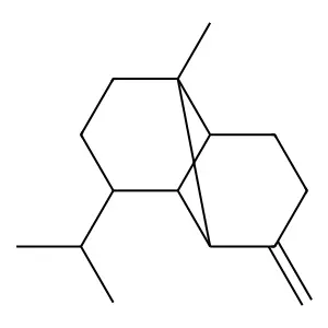 Cyclohexane-1,2,4-tris(methylenesulfonate) structure