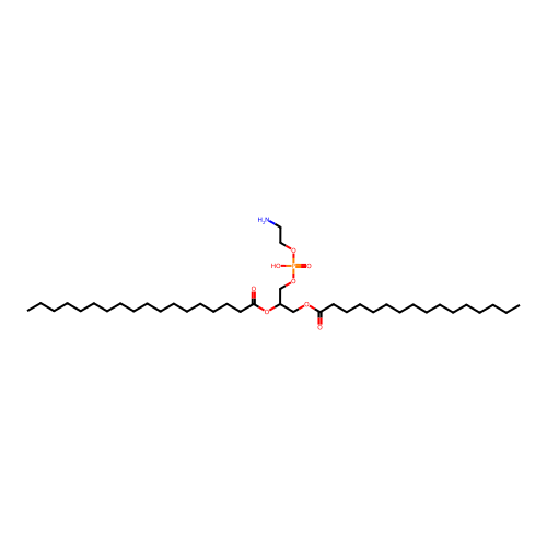 PE 34:0 structure