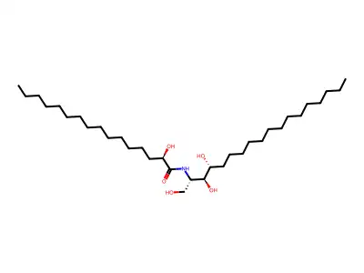Xrf7rnz7TN structure