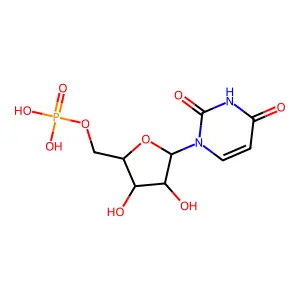 Uracil arabinotide structure