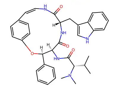 Integerrine structure