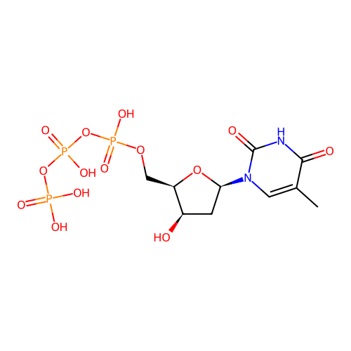 dTTP structure