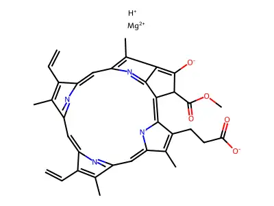 Mg-2,4-Divinylpheoporphyrin structure