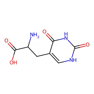 2-amino-3-(2,4-dioxo-1H-pyrimidin-5-yl)propanoic acid structure