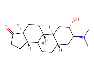 Org NA13 structure
