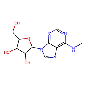 N6-甲基腺 structure