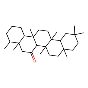 Choisyine structure