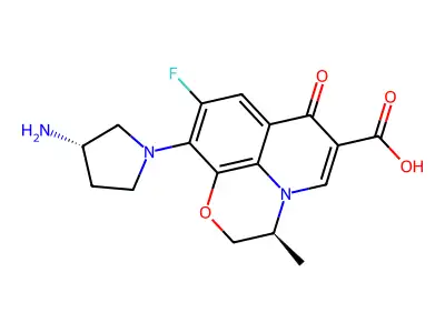 J1.008.536E structure