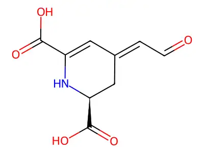 (2S)-4-(2-oxoethylidene)-2,3-dihydro-1H-pyridine-2,6-dicarboxylic acid structure