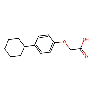 (4-Cyclohexylphenoxy)acetic acid structure