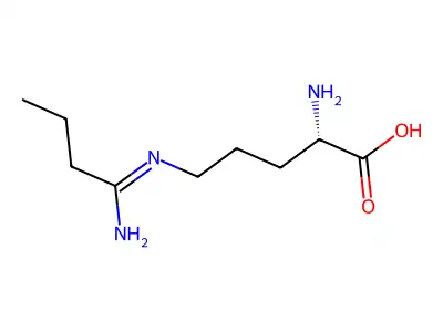 (2S)-2-amino-5-(1-aminobutylideneamino)pentanoic acid structure