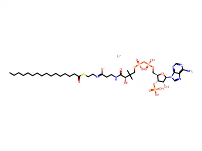 palmitoyl CoA structure