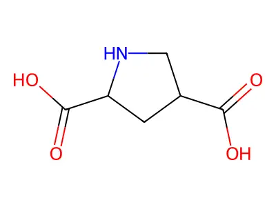 (2R,4R)-pyrrolidine-2,4-dicarboxylic acid structure
