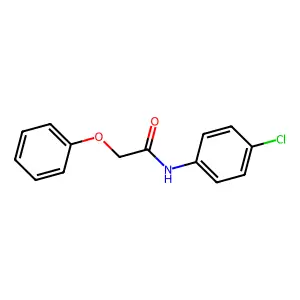 N-(4-chlorophenyl)-2-phenoxyacetamide structure