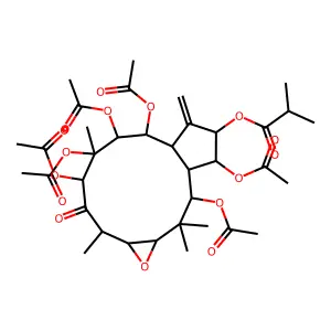 3,4,7,8,9,10a-Hexakis(acetyloxy)-2,2,9,12-tetramethyl-6-methylene-11-oxotetradecahydro-1aH-cyclopenta(5,6)cyclododeca(1,2-b)oxiren-5-yl 2-methylpropanoate structure
