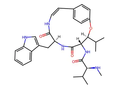 Americine structure