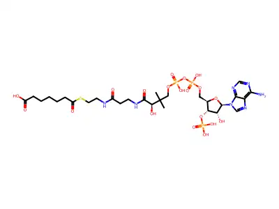 Coenzyme A, S-(hydrogen heptanedioate) structure