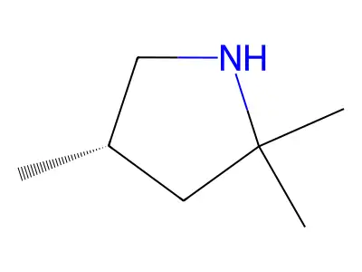 2,2,4-Trimethylpyrrolidine structure