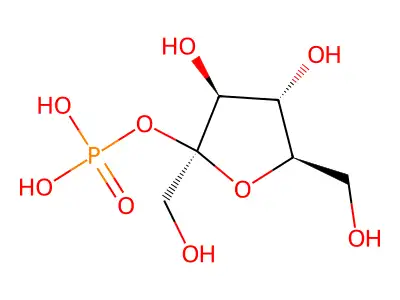 N-[1-氧代-1-(苯氨基)丙-2-基]苯甲酰胺 structure