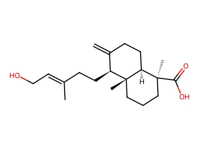 异柏油酸 structure