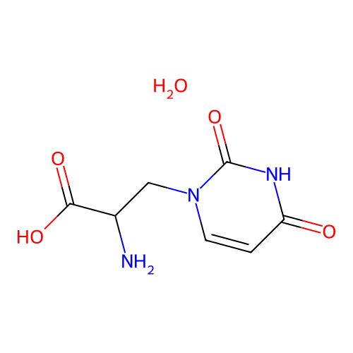 3-(2,4-dioxo-3,4-dihydro-1(2H)-pyrimidinyl)alanine hydrate structure
