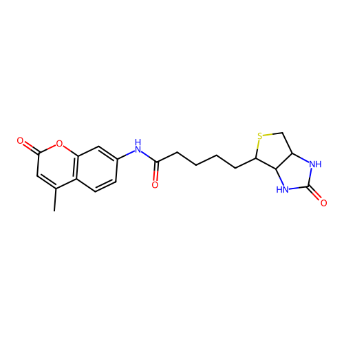 N-d-Biotinyl-7-amino-4-methylcoumarin structure