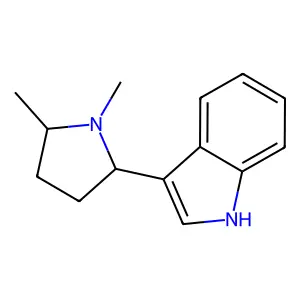 3-(1,5-Dimethylpyrrolidin-2-yl)-1H-indole structure