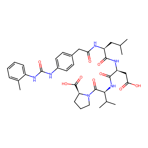 BIO 1211 structure