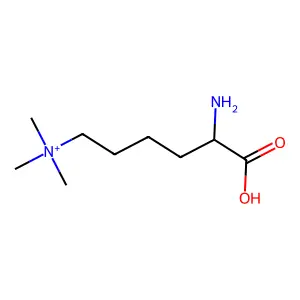N-6-Trimethyllysine structure
