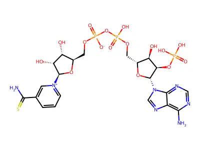 Thio-NADP structure