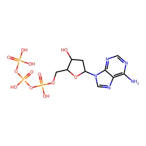 脫氧腺苷三磷酸 structure