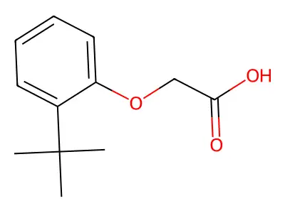 2-(2-Tert-butylphenoxy)acetic acid structure