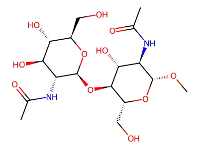 O-methyl-di-N-acetyl beta-chitobioside structure
