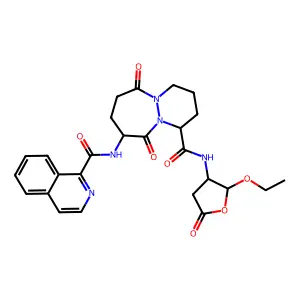 Pralnacasan structure
