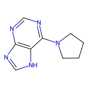 6-(pyrrolidin-1-yl)-9H-purine structure