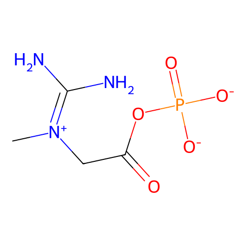 [(Diaminomethylidene)(methyl)azaniumyl]acetyl phosphate structure