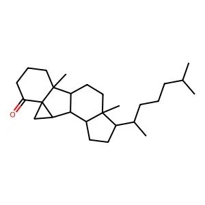 N-[2-(1H-四唑-5-基甲氧基)苯基]苯甲酰胺 structure