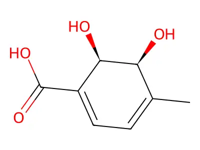 (2R,3S)-1-Carboxy-2,3-dihydroxy-4-methylcyclohexa-4,6-diene structure