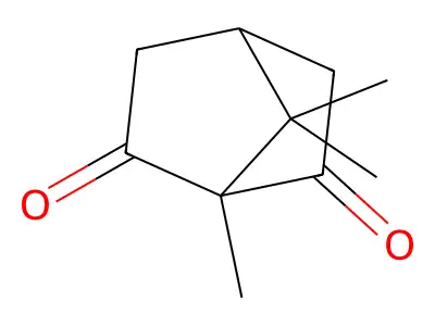 Bornane-2,6-dione structure
