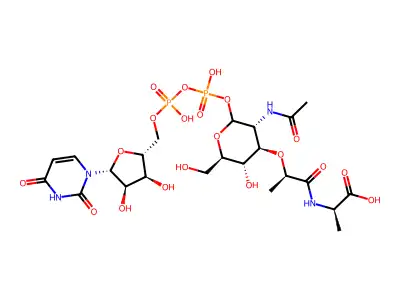 Udp-N-Acetylmuramylalanine structure