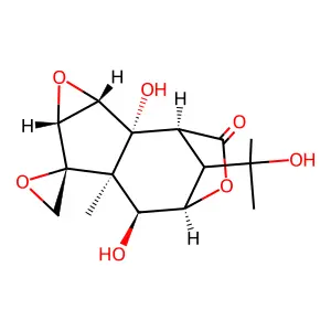 Isohyenanchin structure